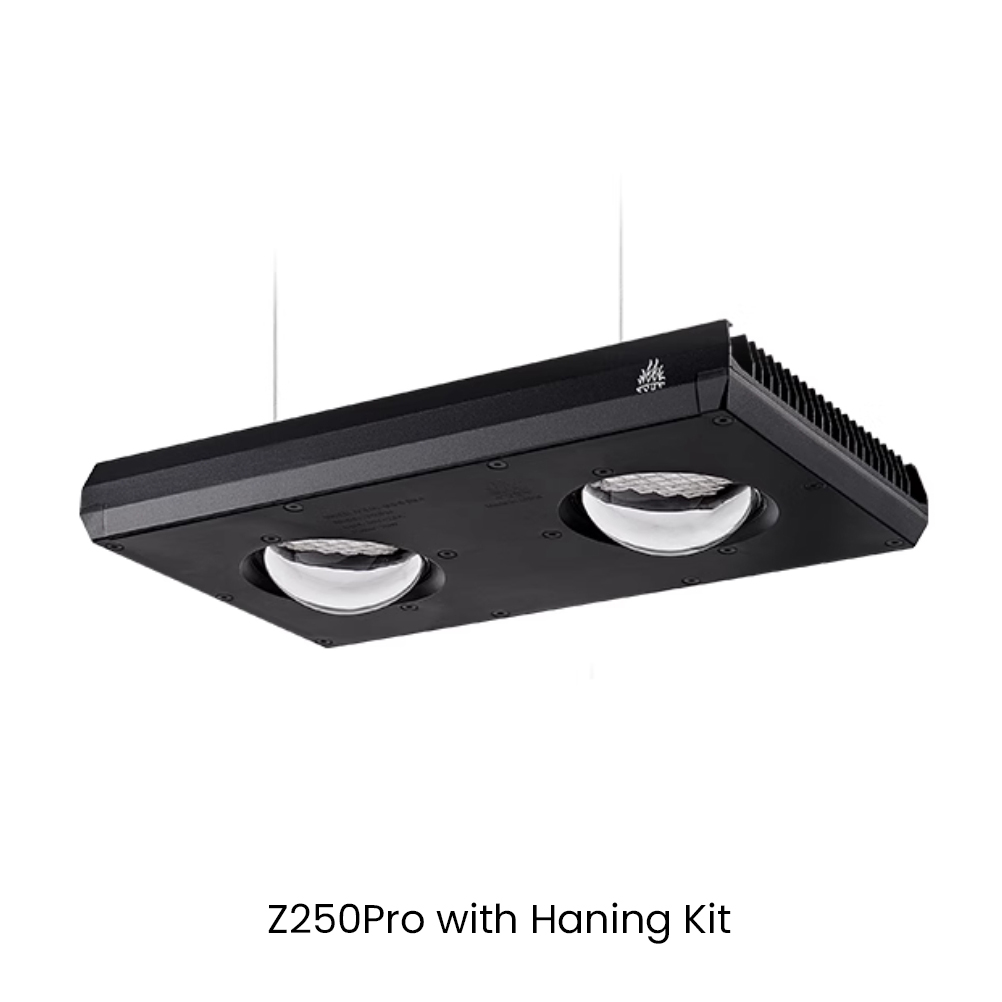 Week AQUA Z250/Z400 Sea LED Re - Aqua Marine Tank recension och pris