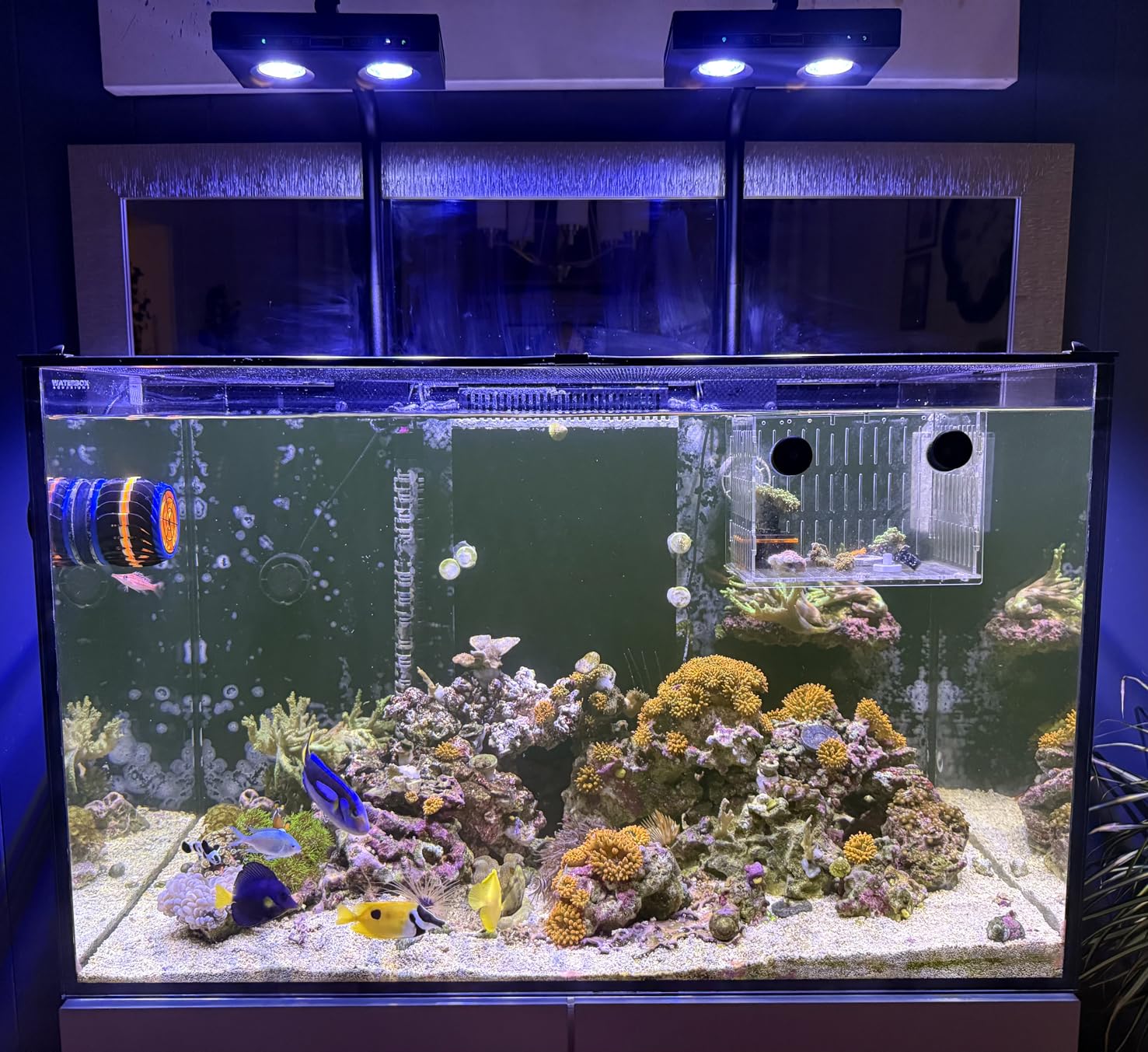 High Power DIY Spectrum 90W G5 - Aqua Marine Tank recension och pris