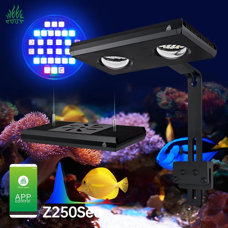 Week AQUA Z250/Z400 Sea LED Re - Aqua Marine Tank recension och pris
