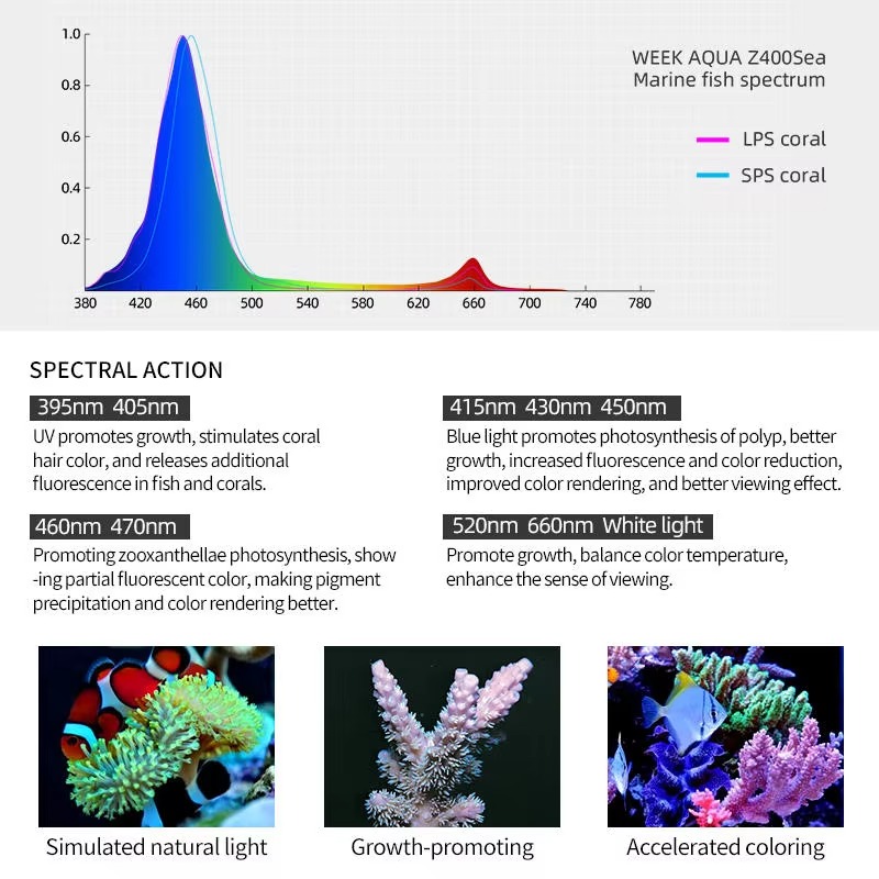 Week AQUA Z250/Z400 Sea LED Re - Aqua Marine Tank recension och pris