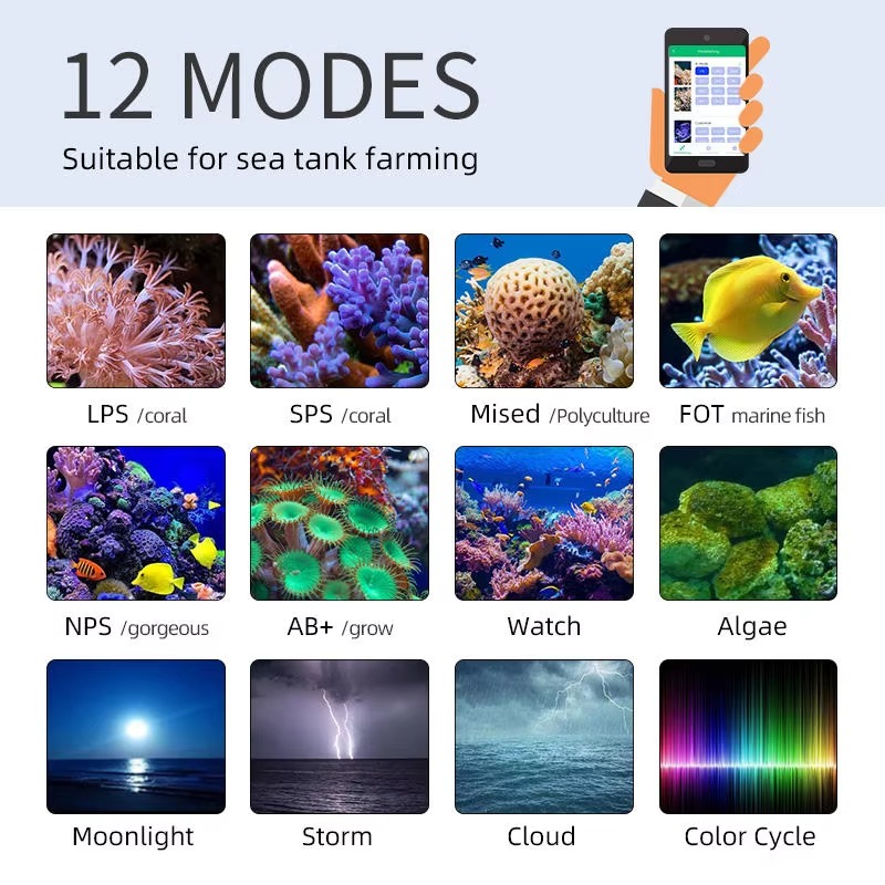 Week AQUA Z250/Z400 Sea LED Re - Aqua Marine Tank recension och pris