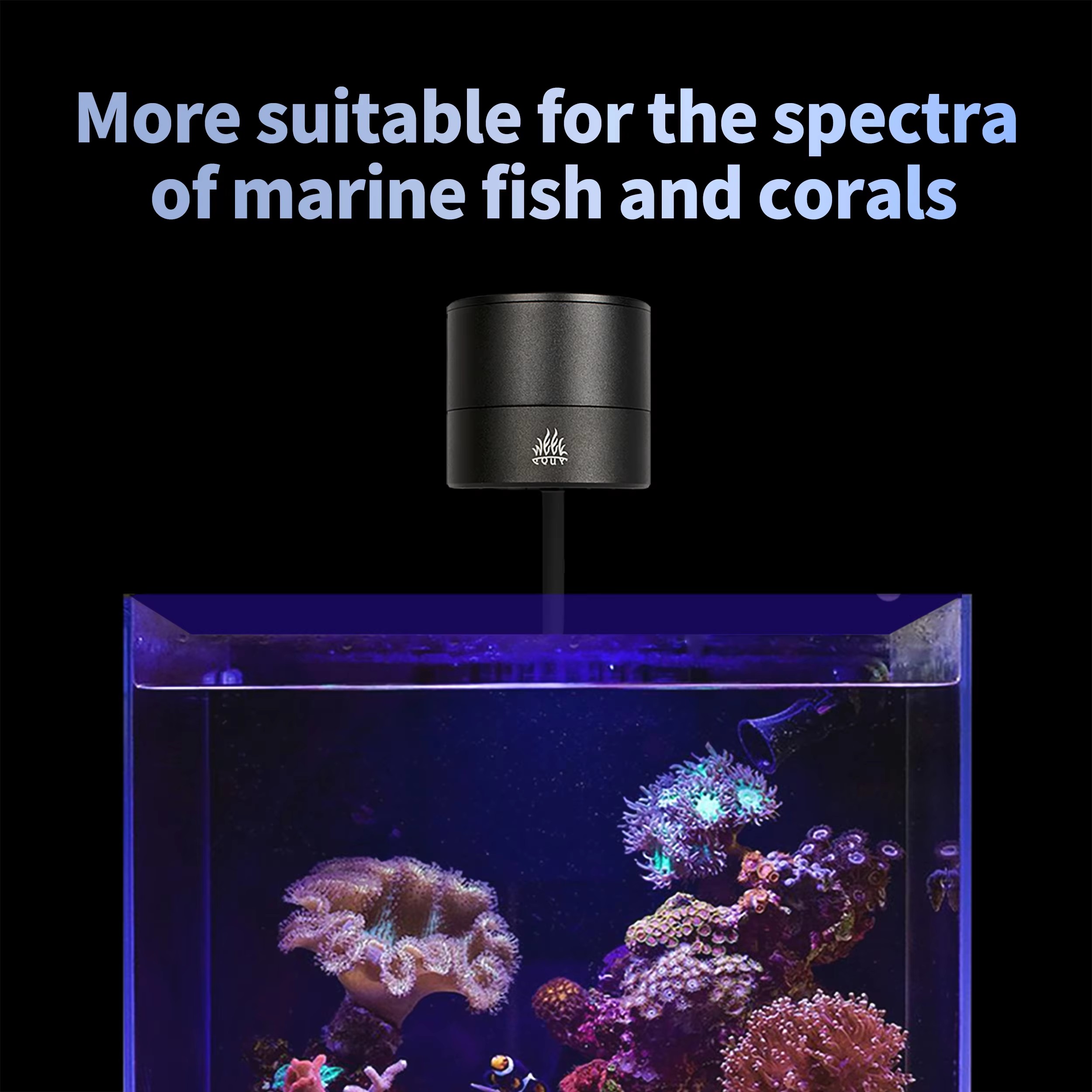 WEEK AQUA Aquarium Light Manuf - Aqua Marine Tank recension och pris