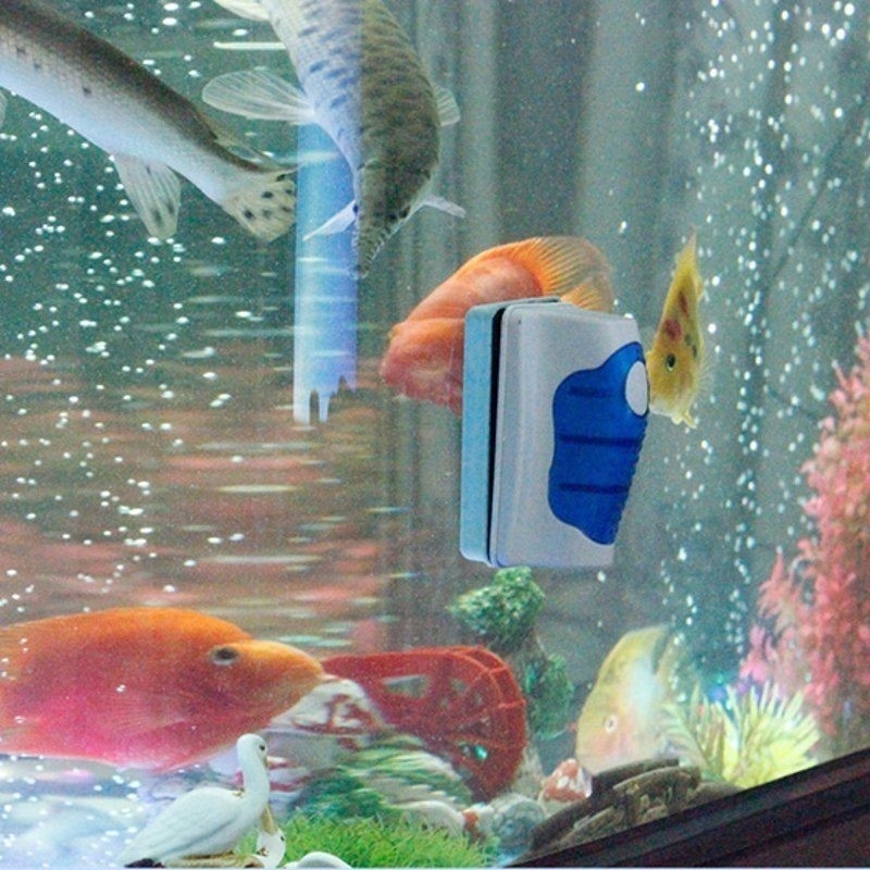 Fish Tank Glass Scraper Cleane - Marine Aquarium Glass Scraper recension och pris